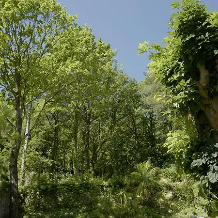 De Ma Tante Hotel 3*