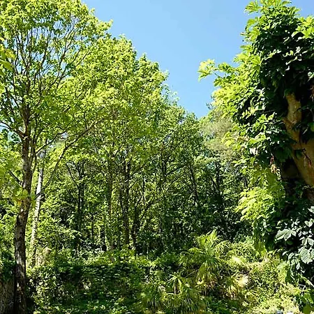De Ma Tante Lamalou-les-Bains